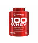 Galvanize Nutrition 100 Whey Protein Çikolata Hindistan Cevizi